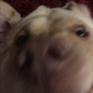 Meet your Posher, Aiden